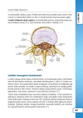 Fiziksel Tıp ve Rehabilitasyon Staj Destek Kitabı Olgular Eşliğinde Kas-İskelet Sistemi Muayenesi