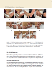 El Hastalıkları ve Rehabilitasyonu