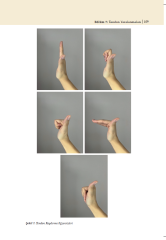 El Hastalıkları ve Rehabilitasyonu