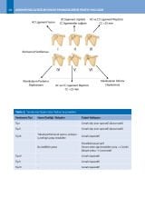 AKROMİYOKLAVİKÜLER EKLEM PROBLEMLERİNE PRATİK YAKLAŞIM